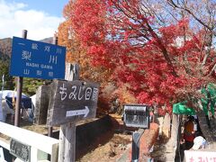 秋の紅葉めぐり　河口湖もみじ回廊と富士山