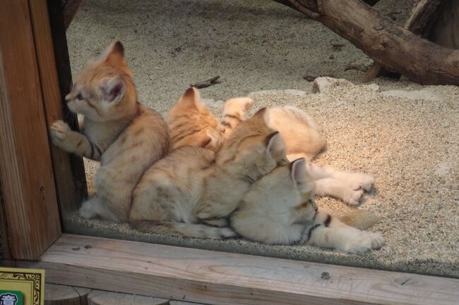 神戸の街をゆっくり散策してきました2泊3日②