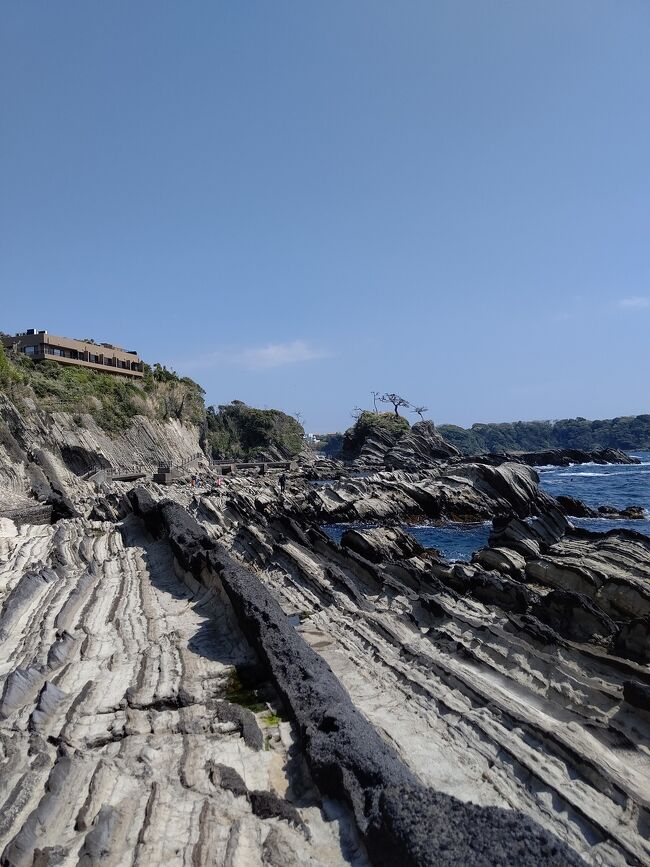 みさきまぐろきっぷを利用して三崎、城ヶ島を日帰り旅してきました。