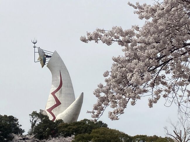 今年も私の大好きな桜のシーズンがまいりました。<br /><br />関西を離れ、そして戻って来ても北摂暮らしの長い私にとって、万博公園のサクラ祭りは、一年の中でも春の楽しみの一つです。<br /><br />一昨年はCOVID-19の感染拡大の渦中にあり中止となり、昨年は規模が縮小されての開催となりましたが、桜は咲けども花見という行為が憚られている感じがして、心から楽しめる状況では無かったです。<br /><br />今までの万博公園サクラ祭り↓<br />https://4travel.jp/travelogue/11478463<br />https://4travel.jp/travelogue/11684094<br /><br />今年も、未だ収束への見通しはついていませんが、少し人出が戻り、桜を愛でる人の表情にも、若干明るさが出てきた感じがします。<br /><br />ほんのわずかな期間、愛おしみ、春を感じるというのは、素敵な行事だと思います。<br />ゆっくり春の風情を楽しんでまいりました。<br /><br />今年は造幣局の通り抜けも、事前予約できました。<br />少しづつ、COVID-19に慣れて、甘く見ることなく、感染防止に留意し、花を楽しむ事が出来れば、と思います。<br /><br />そして来年こそ、屋台も出て人通りが戻った華やかな雰囲気の中、お花見が出来る事を切に願っております。