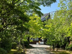 【2022/5/1　新緑の京都】京セラ美術館でポンペイ展と兵馬俑展を見た後、将軍塚へ