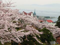 桜満開の函館旅情４日間♪　3日目　函館公園から元町散策　市電を撮る♪