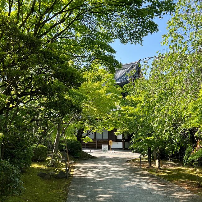 GW中に京都市京セラ美術館で開催中の「ポンペイ展」と「兵馬俑展」を見に行ってきました。<br />京都市美術館がリニューアルして京都市京セラ美術館としてオープンしたのは2020年だそうなので約3年はご無沙汰していました。<br />ポンペイも兵馬俑もどちらも訪れてみたいところでしたが、現下の状況ではまだ海外には行けそうにないので先ず展覧会を楽しんできました。<br /><br />その後は、とても天気が良く爽やかな日だったので将軍塚へ行って新緑の京都の全景を眺めてきました。