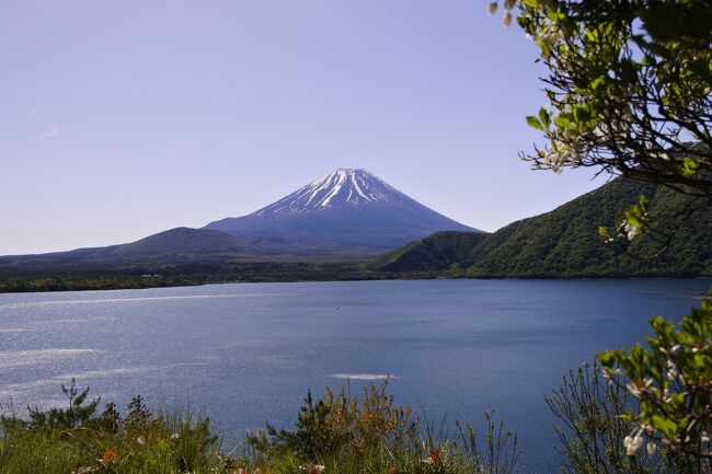 行動制限なしの旅行は久しぶりで、とても楽しみにしていました。天気予報は良くなかったですが、旅に出てみれば奇跡のような雨と雨の間に雲一つない快晴が。期待以上の富士山と本栖湖が目の前にありました。<br /><br />コロナ禍なのは変わらない為できるだけ人との接触を減らせる旅を心掛けました。公共交通機関ではなく自家用車で移動しました。<br /><br />初めてのグランピングは主人とハマったアニメとドラマの影響です。<br />本格的なキャンプはハードルが高くても、アニメやドラマのようにゆる～くアウトドアを楽しむのはアリだと思います。<br /><br />聖地巡礼はとにかく現地にご迷惑をかけないようにすること！<br />今回はできるだけ『聖地』にお金を落とすようにグッズを買いまわりました。