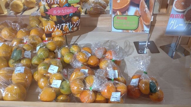 有田市は和歌山県中部に位置しており、有田みかん発祥の地、蚊取り線香発祥の都市です。また、1991年に江口洋介・キューティー鈴木主演で公開された映画真夏の少年の舞台となりました。(wikipedia参照)有田市の地名の由来は 大同元年、平城天皇の諱(いみな)である「安殿(あて)」と同音になることを嫌い、阿提(あて)郡から有田郡に改称した事からです。(地名の由来は参照)有田市には紀伊水道・湯浅湾が眼下に広がる有田みかん街道・春の桜のシーズンには大勢の花見客で賑わうウエノ公園・有田市みかん資料館などがあります。(有田市参照)<br />今回は有田市みかん資料館・浜のうたせなどを訪問し、有田みかん街道でランニングしました。雨が降っていましたが、絶景を見る事が出来ました。<br />最後になりますが、私の旅行記を見て有田市に行きたいと思ったきっかけ及び有田市に旅行に行く時の参考となれば幸いです。有田市の旅行が皆様にとって忘れられない思い出になります事を心よりお祈り申し上げます。