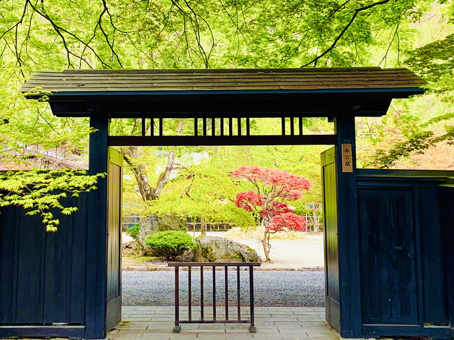 小京都　武家屋敷の角館に、降る様に咲く枝垂れ桜を眺めに行ったら…