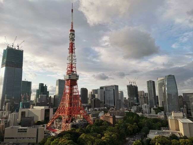2022年最初の旅行。「東京ってあまり観光で行った事ないよね?」って事で今回の旅行を計画。<br />景色の良いホテルに泊まりたい!美味しいものを食べたい!的な3泊4日の旅行です。<br />