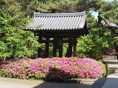 町子さん奈良へいらっしゃーい♪～唐招提寺・薬師寺・近藤豆腐店・萬葉植物園(#^.^#)