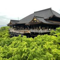 ANAキュンを利用して、大阪、京都旅行2-嵐山、清水寺などを巡る-