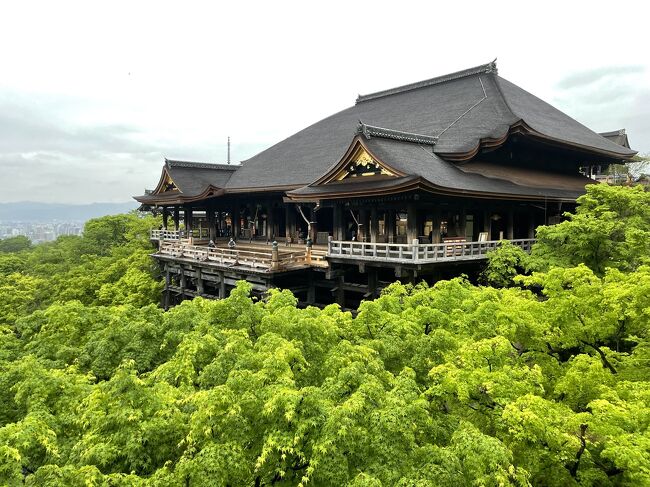 ANAキュンを利用して、大阪、京都旅行2-嵐山、清水寺などを巡る-