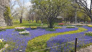 札幌駅発　百合が原公園を歩く2022・05