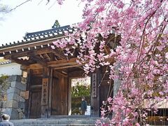 京都のお花見旅行４日目ー三千院、寂光院