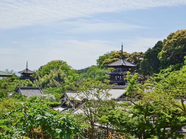 GW頃には牡丹の花が見頃を迎える當麻寺。<br />以前に一度訪れてから随分時間が過ぎました。<br />GW前に降った雨で、繊細な牡丹の花が傷んでしまい<br />お寺の方が花を刈り取ったあとでしたが<br />天平・白鳳という想像も出来ない昔から変わらない景色が<br />新緑に包まれていました。