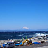 春の伊豆諸島②