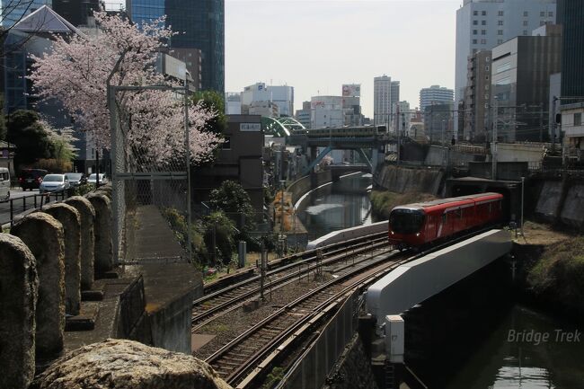 関東へ行く用事があったので、ついでに東京の神田川や隅田川水系の橋を観て廻りました。折しも桜満開。桜と橋のコラボも楽しめました。