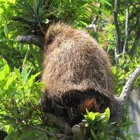 GWは東海地方の動物園へ②　はまZOO（浜松市動物園）