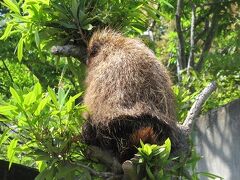 GWは東海地方の動物園へ②　はまZOO（浜松市動物園）