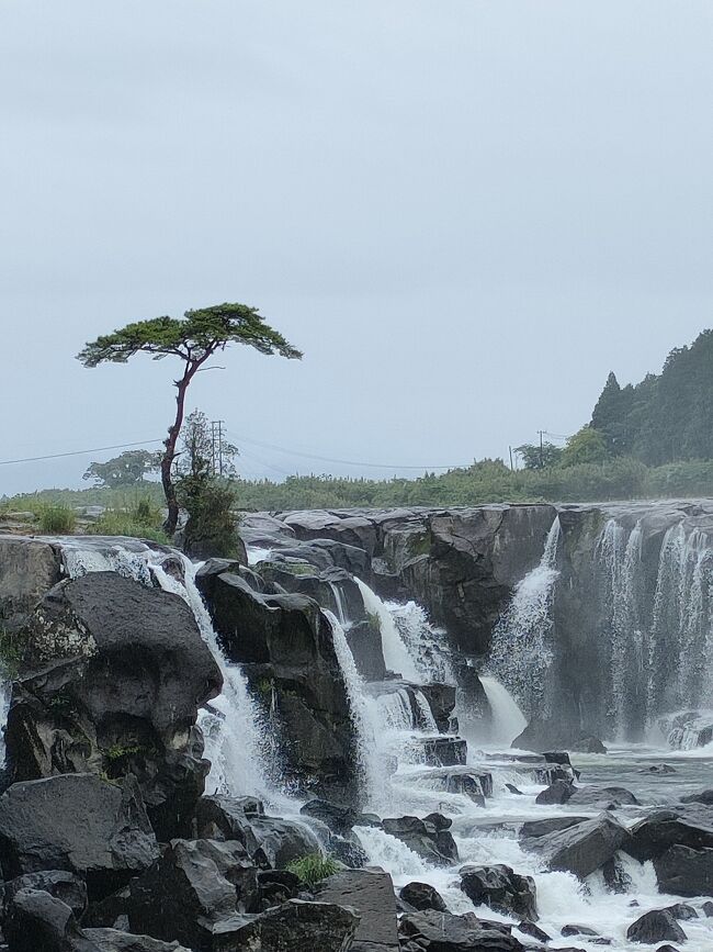 梅雨に入る前にと計画した鹿児島旅行<br />それがふたを開ければ晴れ続きの合間にドンピシャの雨と曇りの3日間<br />暑くなくってよかったね、雨の旅行も中々いいもんよね、<br />なんて言いながらも内心は奇麗な青空のもと<br />海や開聞岳が見たかったな<br />でも、雨のおかげで豪快な曾木の滝を見る事出来ました。<br />何度も行っている鹿児島ですが知らなかったさつまエリアの魅力を発見しました。<br />日本は広い、行ったことのない土地、ワクワクする場所が<br />まだまだいっぱいあるんだと思うと眠りかけていた旅行意欲が又々沸々と。<br /><br />忘備録です<br />