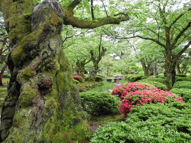 金沢・王道の観光地を巡る　<兼六園界隈>