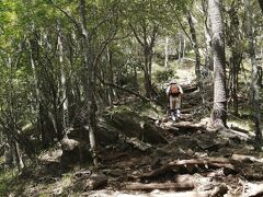 【間違いだらけの夏登山】鍋割(なべわり)山から学ぶ