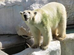 【上野動物園　2019/09/20】