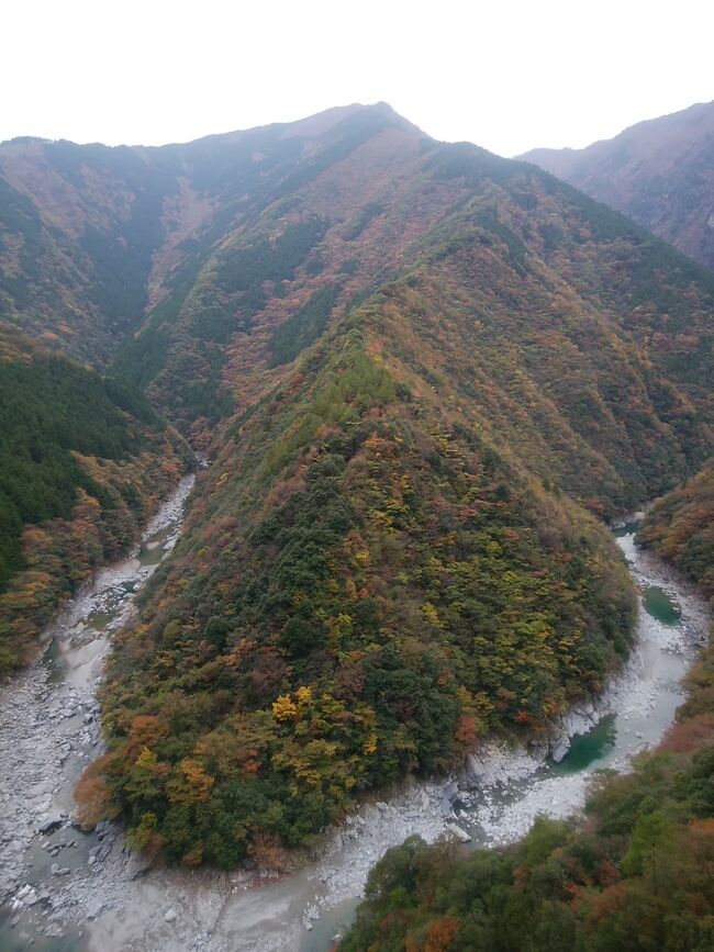 紅葉を見に秘境・大歩危小歩危へ行きました。ちょっと早かったですが・・・。秘境の温泉宿で絶品温泉を愉しみ、かずら橋を渡り、鳴門の有名店で魚、徳島駅前で老舗の大判焼き、大歩危の道の駅で猪鹿バーガーを食しました。