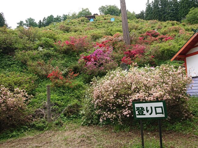 5月15日GW明けの日曜日<br />長野市北部の豊野川谷地区のツツジ山公園に行って来ました。<br />室町時代からあるツツジの山という事で有名らしいです。<br />去年は若穂綿内のツツジ山に行ってなんかいまいちだったので、今年は綺麗なツツジ山が見れるかな？と期待して行きましたが、うーん市内のツツジのほうが綺麗かな？<br />軽く山登りをしてきた感じです。<br />その後、去年の秋以来、飯綱町のおしゃれなワイナリーのサンクゼールワイナリーでホットドッグランチを食べてきました。<br />斑尾山を見ながらのテラスランチよかったです。