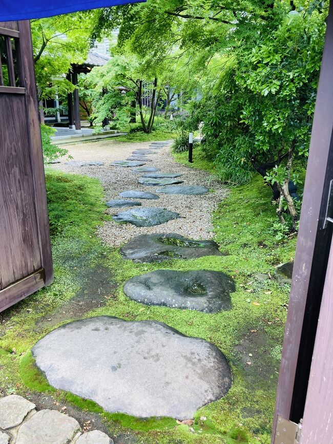 テレビでやっていた<br />小田原の漁港の駅 TOTOCO小田原に　　<br />行ってみたかってたので<br />ドライブがてら小田原散策しました。<br /><br />大雨の予報でしたが<br />出発の頃にはやんでいたので<br />高速も漁港の駅も空いていました。<br /><br />最後までお付き合い頂けたら<br />嬉しいです。