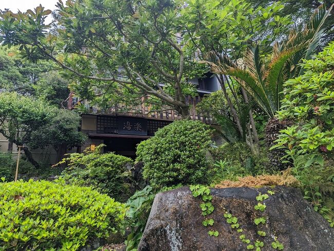 5月12日から1泊で湯河原温泉（神奈川県）へ。宿はオーベルジュ湯楽。温泉と美味しい料理を楽しみます。お天気次第ですが、宿に向かう前に真鶴半島自然公園を散策して、ひと汗かく予定です。