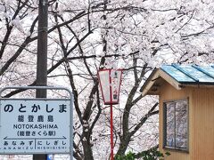 北陸の桜を追いかけて能登～金沢～あさひ舟川へ（１）満開の桜に包まれた能登鹿島駅