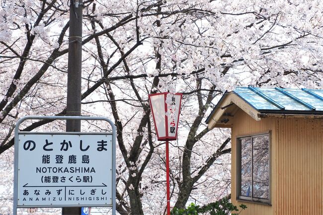 地元神奈川の桜シーズンは終わったけれど、まだまだ桜を楽しみたいと久しぶりに遠出をしてきました。<br /><br />行く先は北陸。桜の駅で有名な能登鹿島駅、金沢の兼六園、さらに富山のあさひ舟川まで足をのばして「春の四重奏」と桜の名所めぐり。1泊2日の強行軍、しかも移動はバスと鉄道のひとり旅でしたが、お天気に恵まれ、満開の桜と金沢グルメを堪能できました。