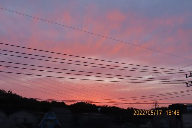 5月17日、午後6時47分過ぎにふじみ野市で美しい夕焼けが見られました。<br /><br /><br /><br /><br />*写真は美しい夕焼け