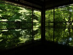 青もみじの瑠璃光院へ その2＠2022年GW後半は、そーだ京都へいこう【4】
