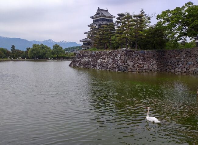 久々の旅。車で3時間弱の松本の旅。風格のある松本城を見に行ってきました。さすが国宝！天気は曇り。北アルプスが何とか見えていました。ランチは定番で信州そばを頂きました。