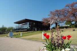 北陸の桜を追いかけて能登～金沢～あさひ舟川へ（４）最後は富山でティータイム