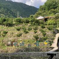 ひがし高知　柚子だらけの村　馬路温泉とゆずの森