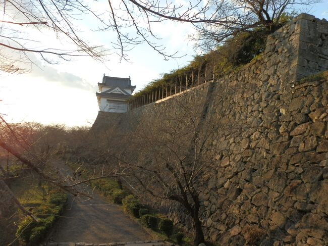 　津山城の規模の大きさは、天守は4重5階地下1階の層塔型天守、日本三大平山城のひとつと言う。姫路城に匹敵する、本当に大きな城であった。<br />　外郭を含めて、広島城の76棟、姫路城61棟をしのぐ77棟の櫓が建ち並び、雄大な城郭であった。明治初頭にその様子を撮影した写真が残されている。<br />　津山郷土博物館には、文献や古写真に基づいて製作された津山城の復元模型があり、往時の姿を窺うことができる。明治6年（1873年）の廃城令により天守・櫓などの建物が破却された。本当に残念である、その思いを噛みしめながら津山城を見学しました。