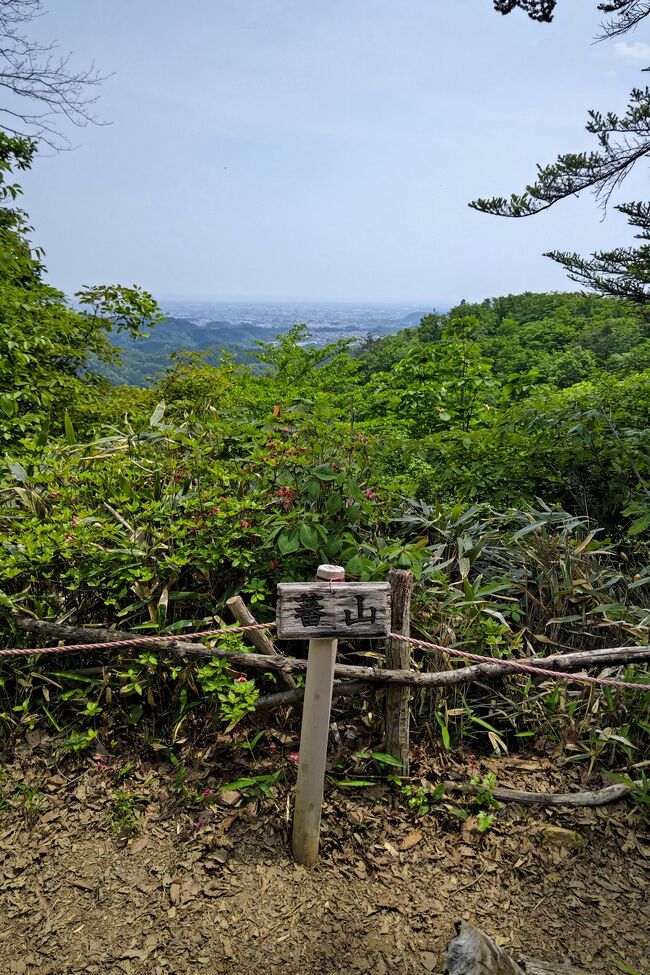 全日空のマイル有効期限が迫ったため消化。<br />行ったことのない仙台に決定。<br />低山登って、アウトドアショップ行って終了。<br />観光なし。<br />海外いつになったら行けるのかな。<br /><br />名古屋0815→仙台0930<br />仙台2020→名古屋2140