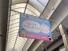 京都への旅（その9）「泣いてもかましまへん！」‥‥。ウェスティン都ホテル京都から、平安神宮、鴨川沿い、新京極を経由して "錦市場" へ。