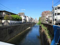 新宿　地元密着の神社とお寺