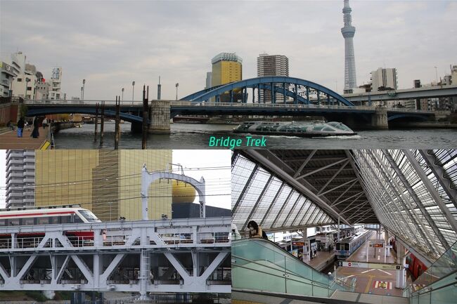 　東京の橋を巡る旅、後半です。隅田川を上流へレンタサイクルで観て行きます。<br /><br />前半はこちら⇒https://4travel.jp/travelogue/11754617