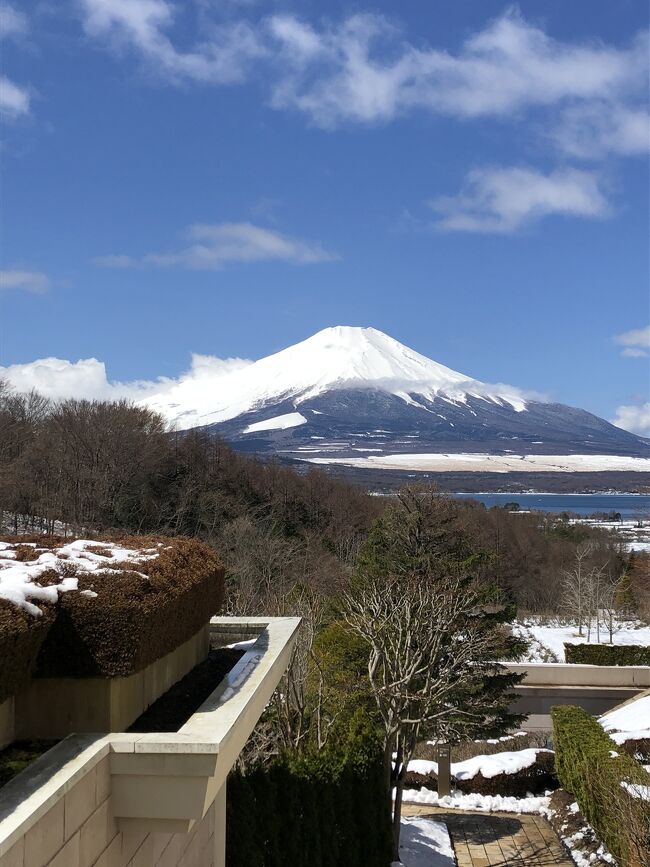 春休みに妹家族とエクシブ山中湖へ<br /><br />桜が見頃の山中湖にまさかの雪…<br />周辺道路も通行止めになるほどの大雪で<br />帰宅することができず延泊することに (&gt;_&lt;)<br />