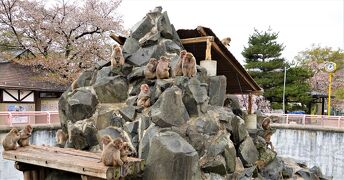 長野（３）城山公園、城山動物園