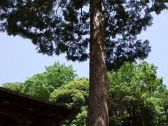 和を堪能する松江旅