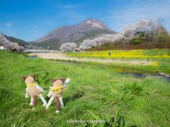 空と桜と菜の花と。福岡～大分で春色探しの旅(後編)