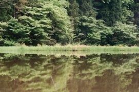 《2022. May》あみんちゅぶらり淡海を歩く旅そのLII近江今津～大ゴケ！平池カキツバタ群生地編～