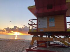 2022年春　フロリダ・マイアミビーチの旅 ＆ エバーグレイズ国立公園