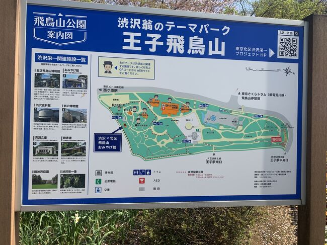 飛鳥山公園に行きました。