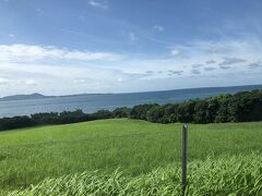 【前半　石垣島西表島由布島編】夫婦で行く石垣島・宮古島！～雨と曇りの新婚旅行～