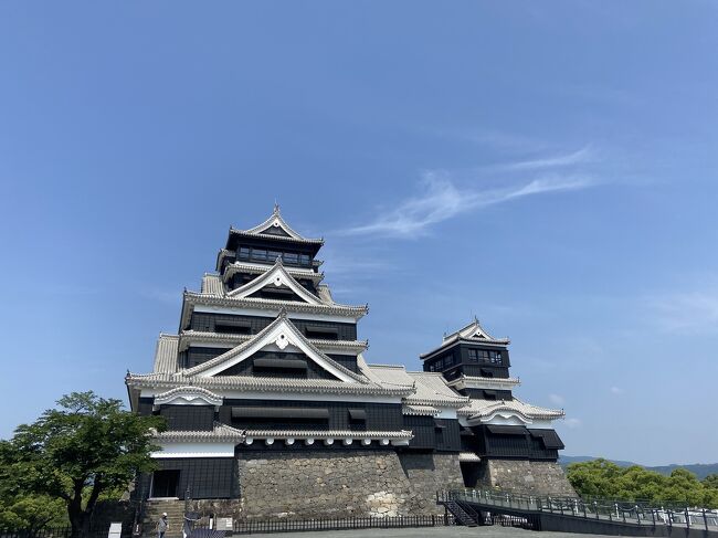 5月のどこかにマイルは熊本。天守閣が復興された熊本城。加藤神社からの眺めも素晴らしかった。熊本ラーメンと美味しい珈琲を飲んだ熊本日帰り旅。